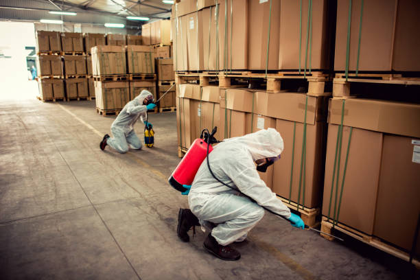 Best Flea Control Services  in Mcconnelsville, OH