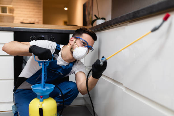 Best Pest Removal Services  in Mcconnelsville, OH