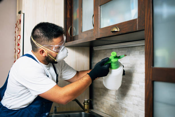 Best Local Pest Control Services  in Mcconnelsville, OH