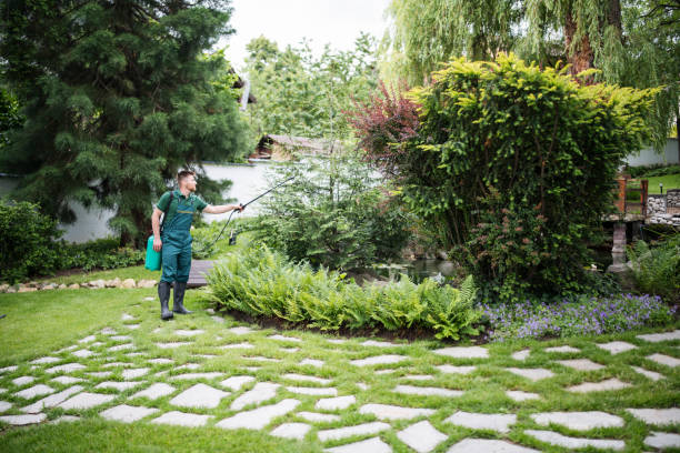Best Wasp Removal Services  in Mcconnelsville, OH