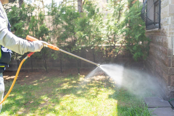 Best Affordable Pest Control Services  in Mcconnelsville, OH