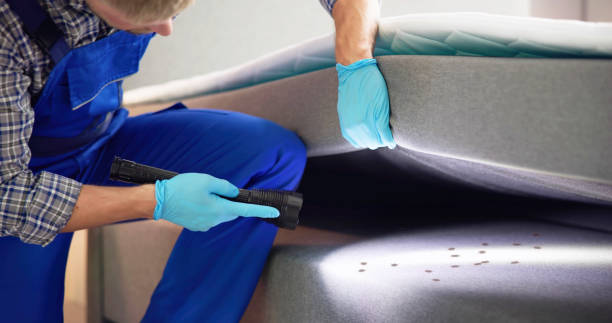 Best Exterminator Services  in Mcconnelsville, OH