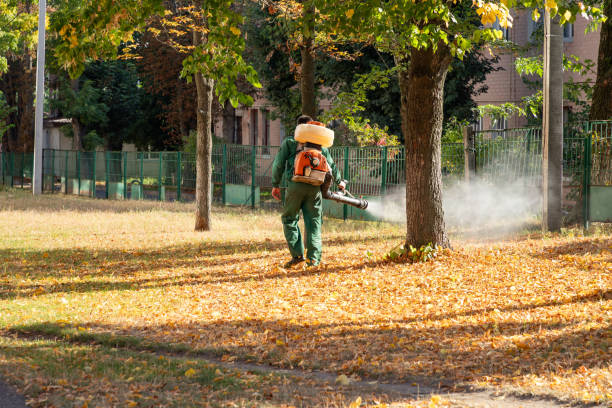 Best Affordable Pest Control Services  in Mcconnelsville, OH
