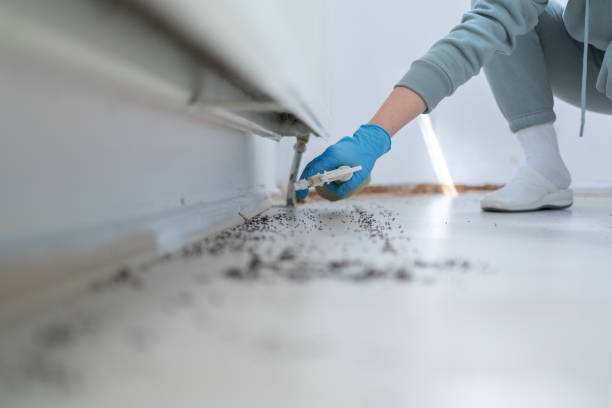 Best Pest Control Near Me  in Mcconnelsville, OH